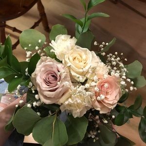 Meet your Posher, Ashley